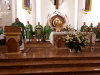 Ilustracja do artykułu Msza Św. Patrona Ślużby Zdrowia.png